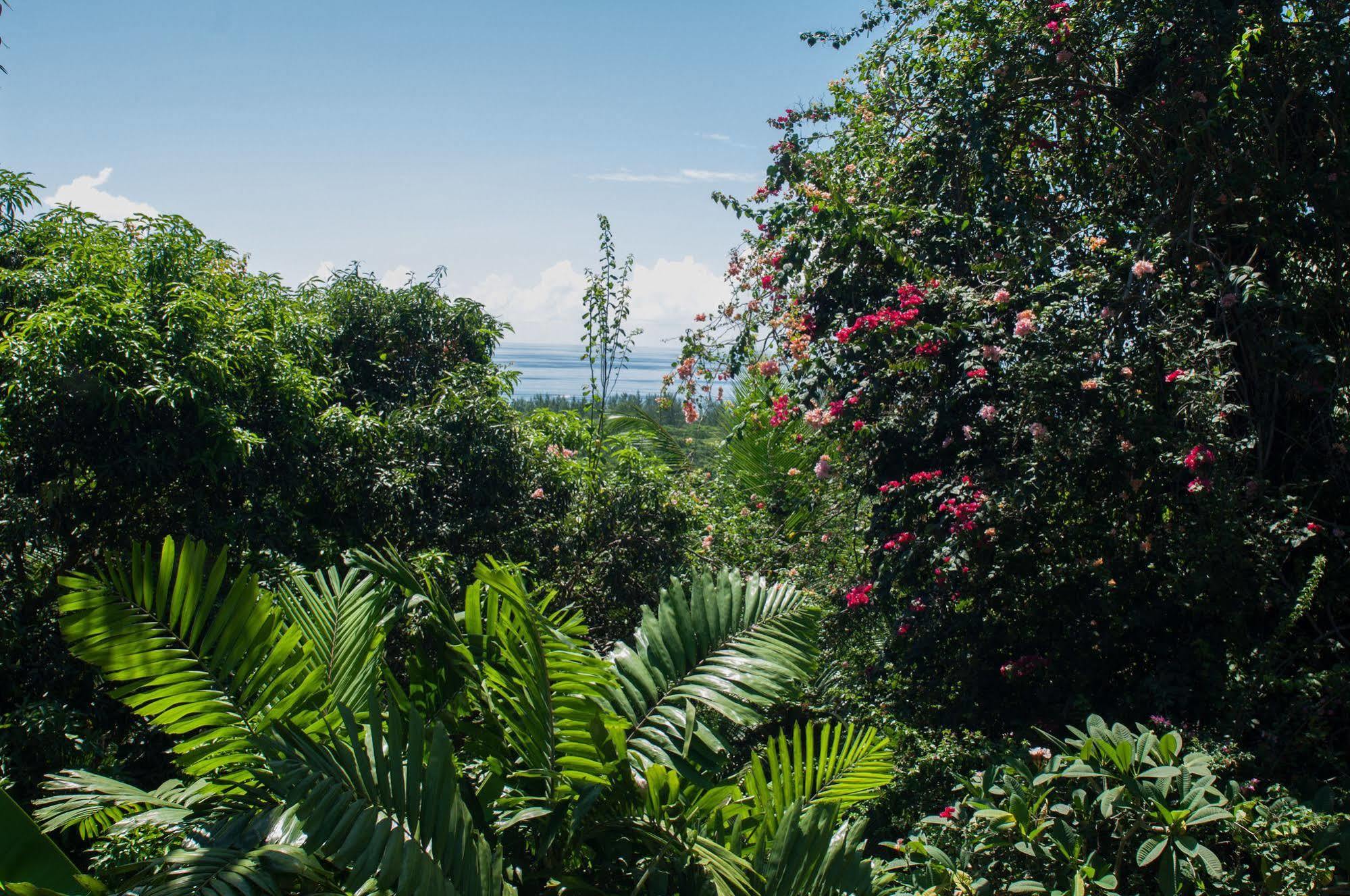 Le Triskell - Guest House Anse aux Pins Buitenkant foto